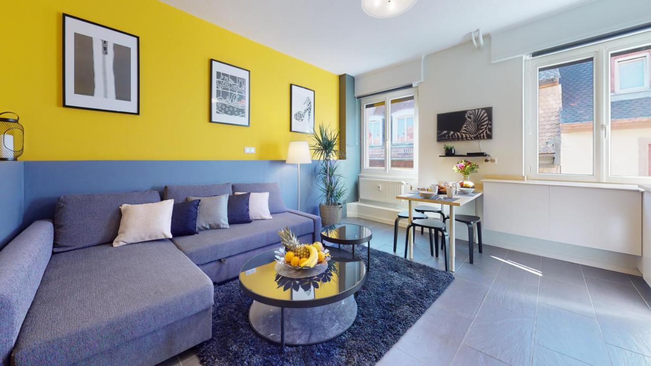 Suite Privative 43M2 - Les Tailleurs A 120M De La Cathedrale Štrasburk Exteriér fotografie
